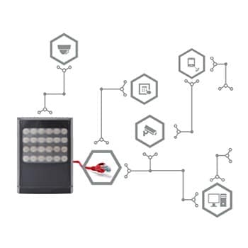 Raytec-article